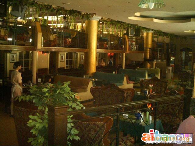 捷农咖啡一族西餐厅(二七路店)